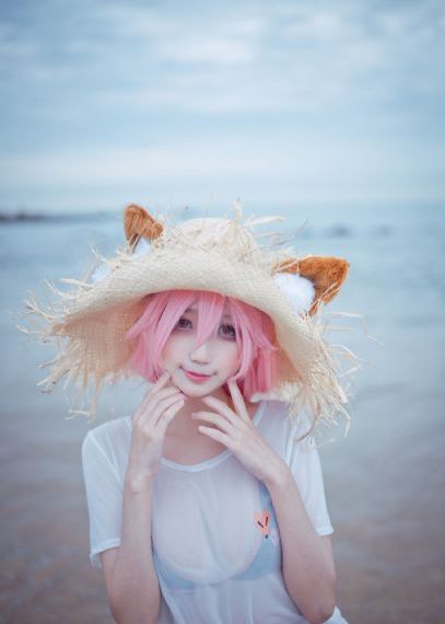 海豚的故事2